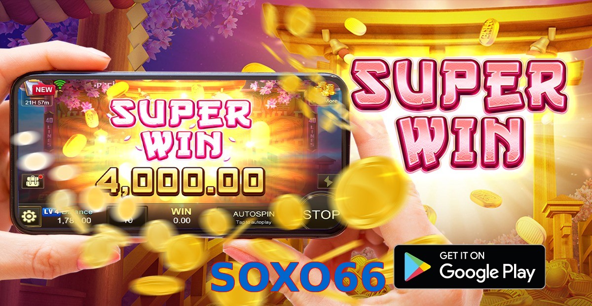 SOXO66