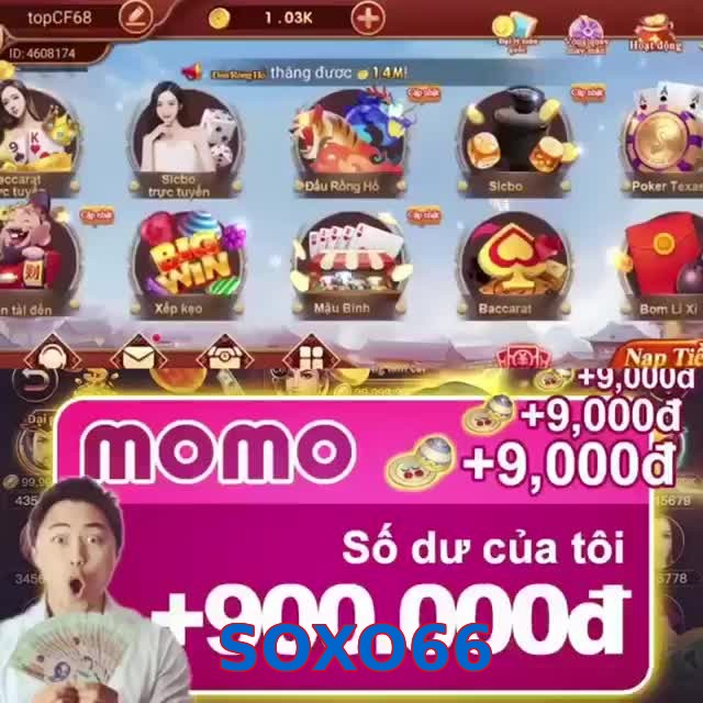 SOXO66