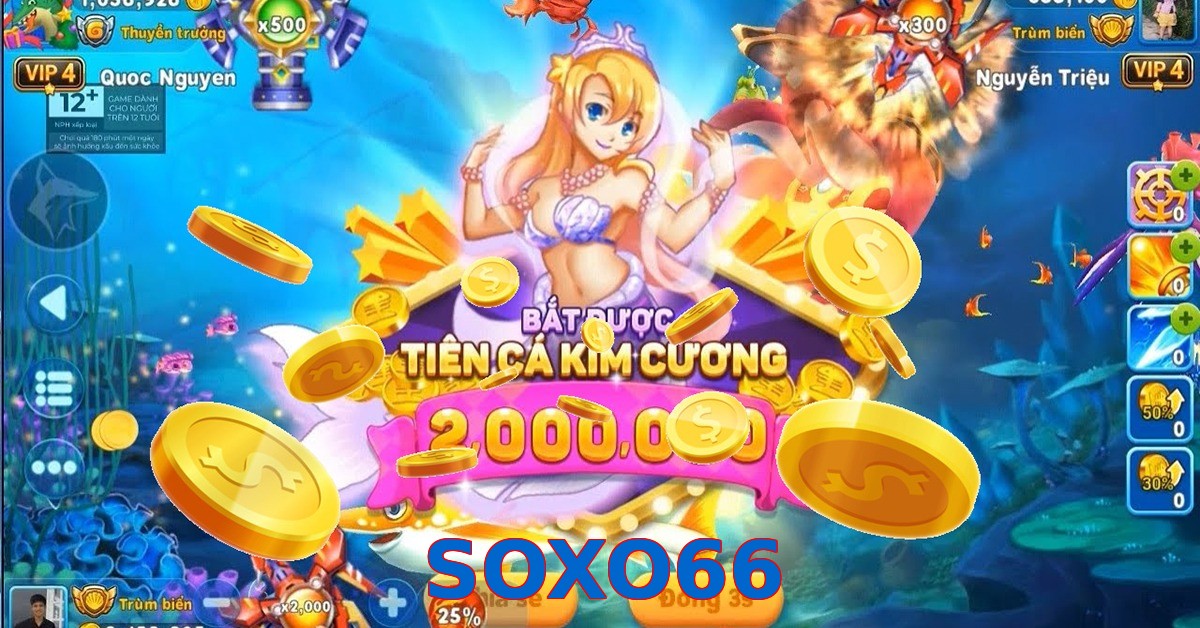 SOXO66