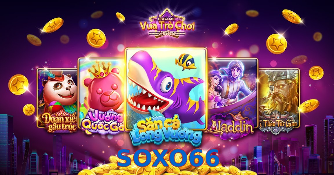 SOXO66