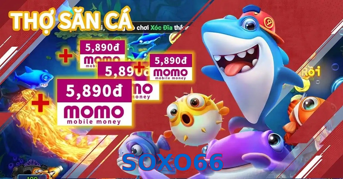 SOXO66