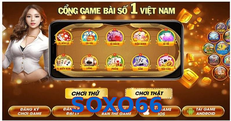 SOXO66