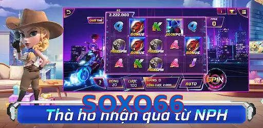 SOXO66