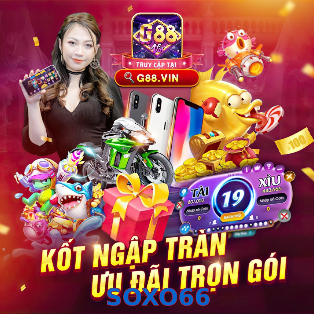 SOXO66