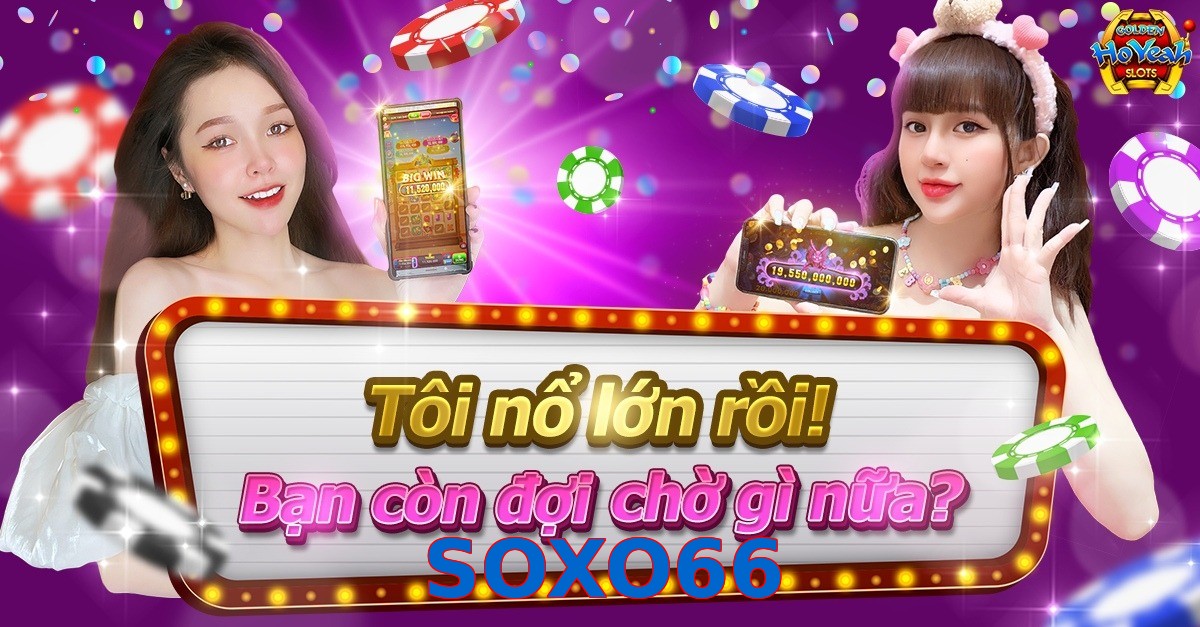 SOXO66