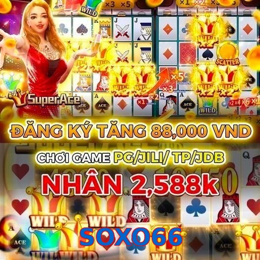 SOXO66