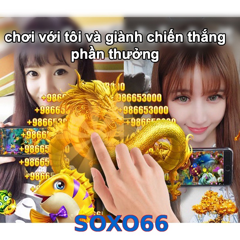 SOXO66