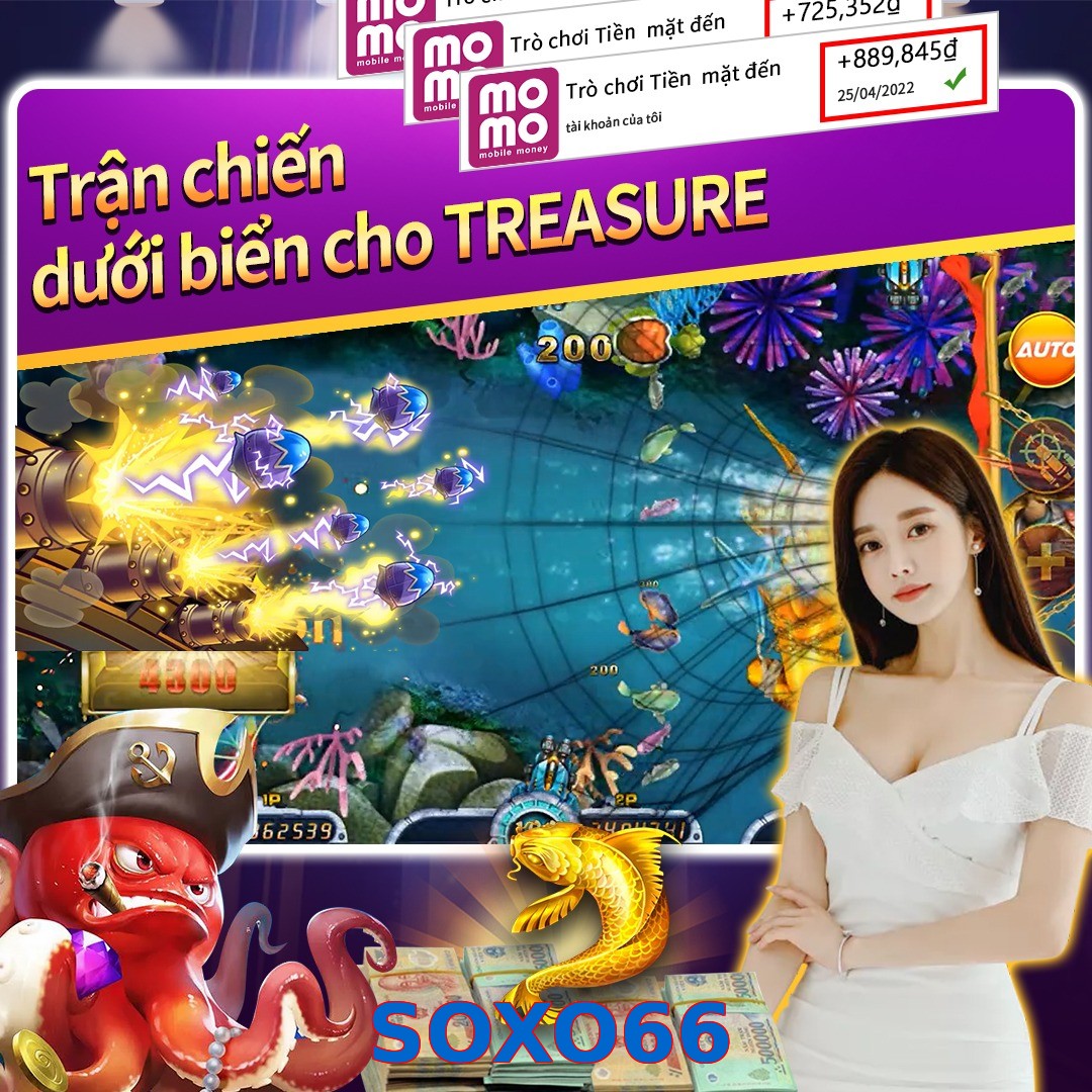 SOXO66