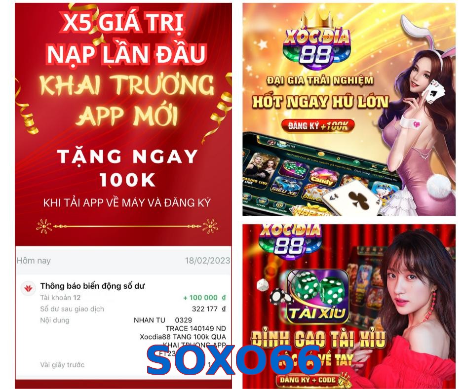 SOXO66