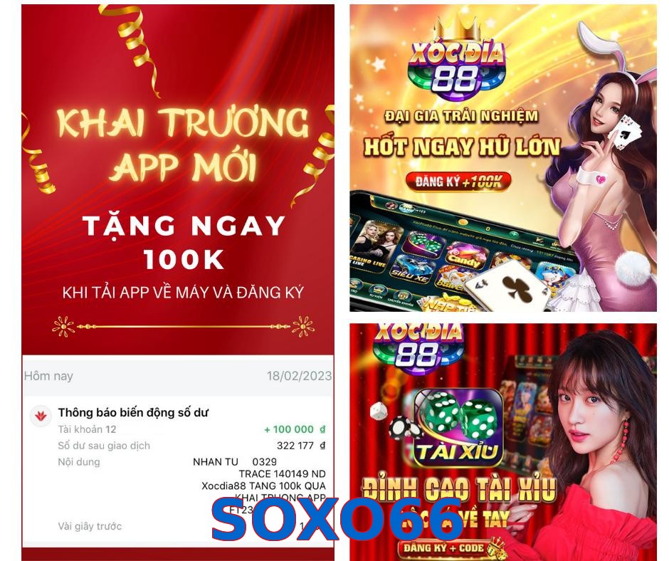 SOXO66